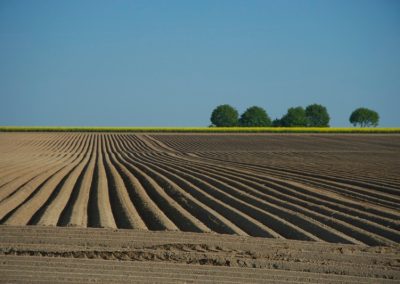 Les environs (archives)